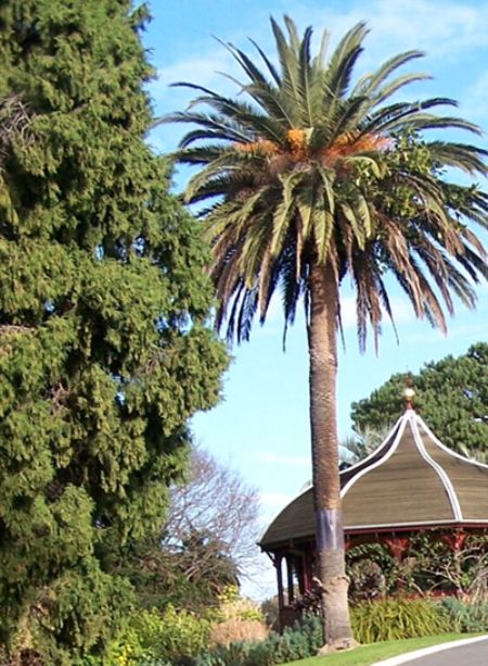 澳大利亚旅修专题报道(二) 澳大利亚旅修专题报道(二)