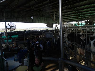 澳大利亚旅修专题报道(九) 澳大利亚旅修专题报道(九)