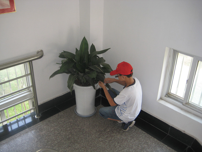 我校志愿者开展活动-----让花草更美更绚烂 我校志愿者开展活动-----让花草更美更绚烂