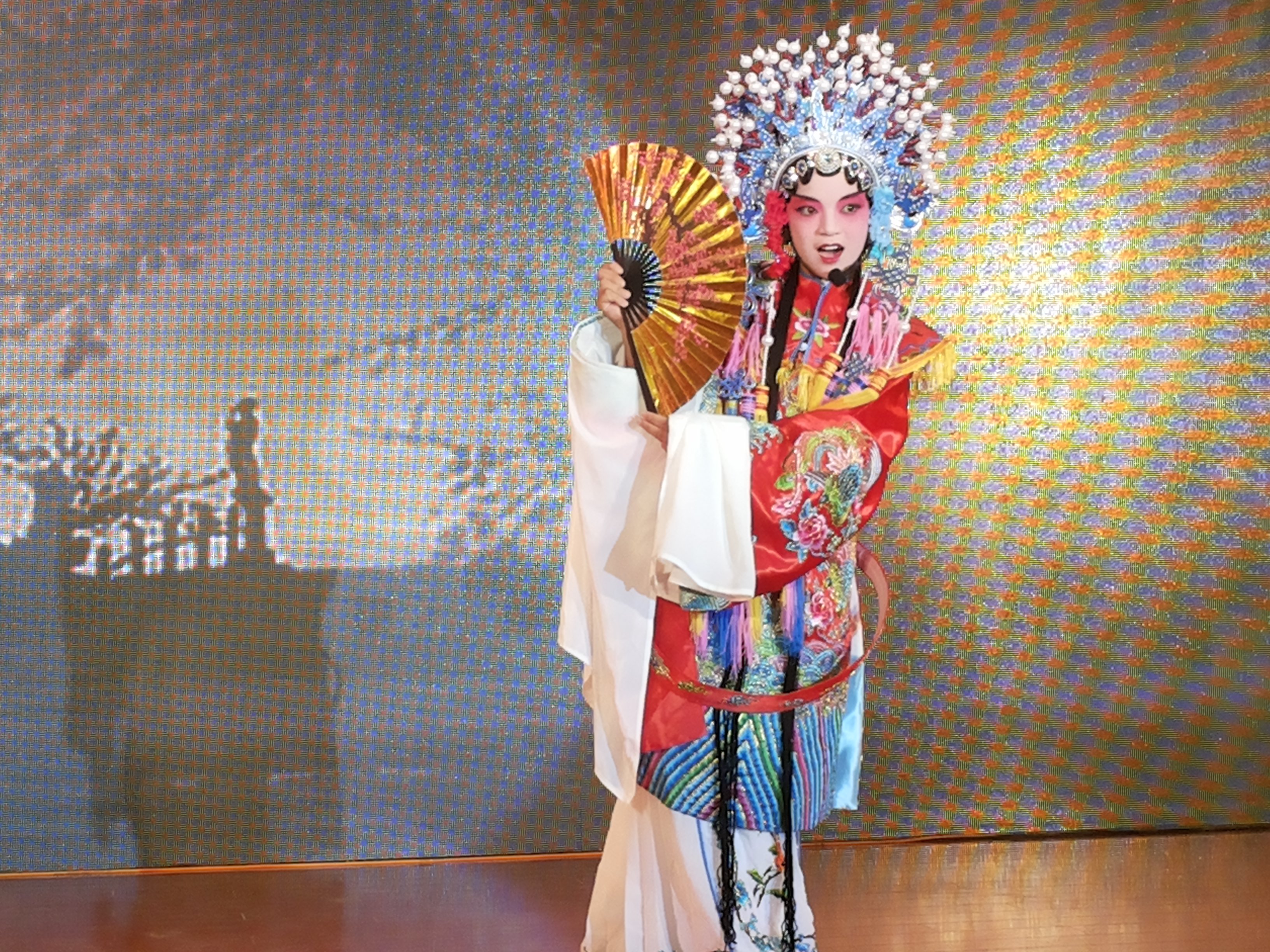 拉特罗布市管弦乐队与我校举行音乐联谊会